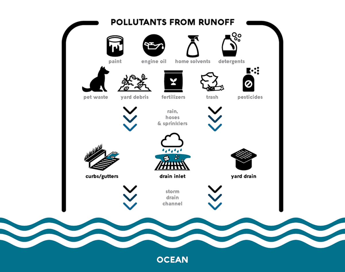 Pollutants from runoff